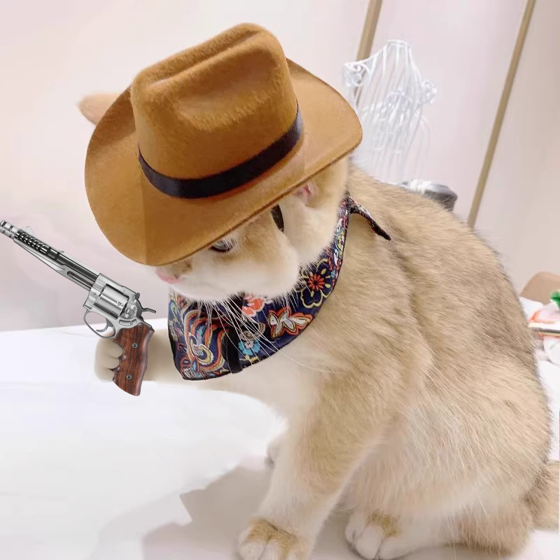 Cowboy Hat Straw - ﻿ Cappello da cowboy per gatti